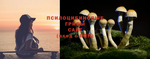 гидропоника Кодинск