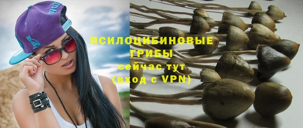 гидропоника Кодинск