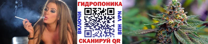 Купить закладки Сухой Лог Конопля OG Kush